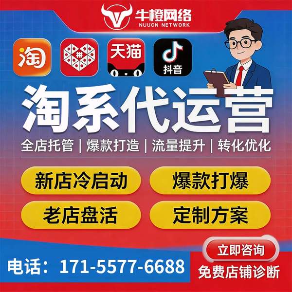 潜江电商代运营