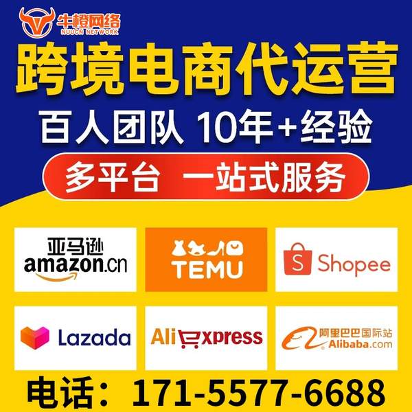 潜江电商代运营