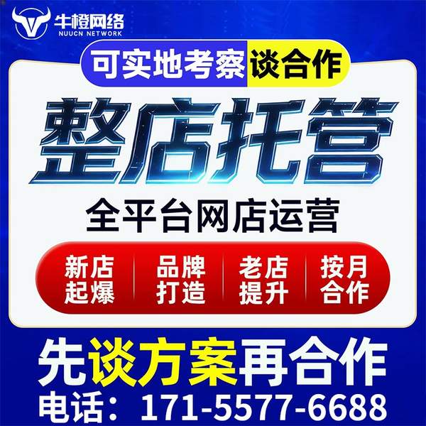 潜江电商代运营