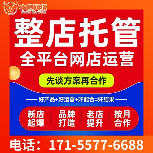 潜江电商代运营
