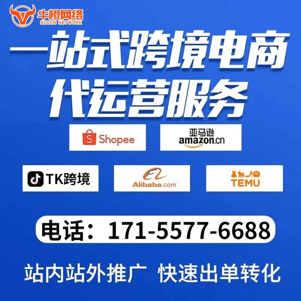 潜江电商代运营