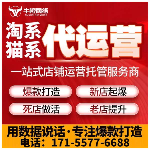 潜江电商代运营